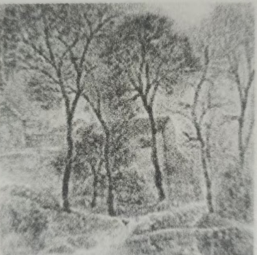 《门箴①》 赏析 //王菊玲