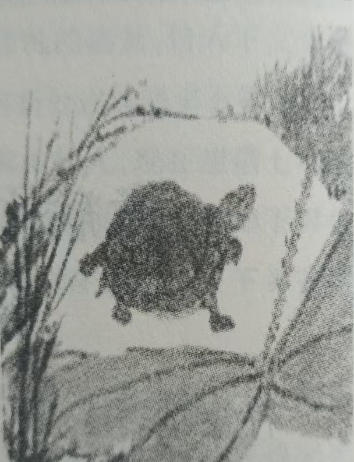 《龟铭》赏析 //王菊玲