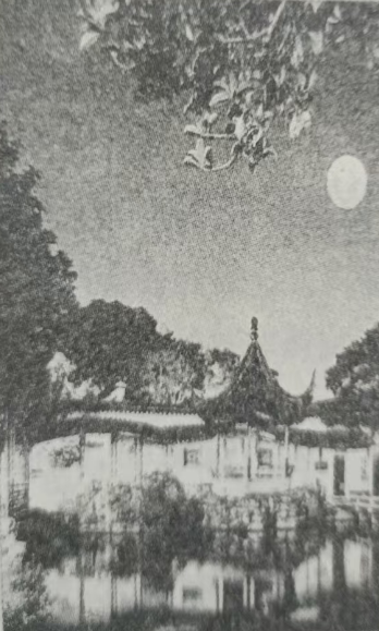 《酬徐公①以新文见招》赏析// 翟立梅