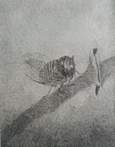 《新蝉》赏析 //李志娟