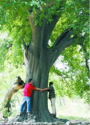 济源寻访卢仝故里  &mdash;&mdash;小川后乐