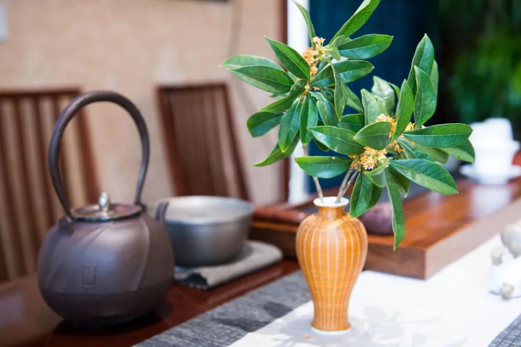 玉真公主山居//储光羲